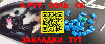 индика Краснознаменск