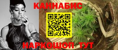 индика Краснознаменск