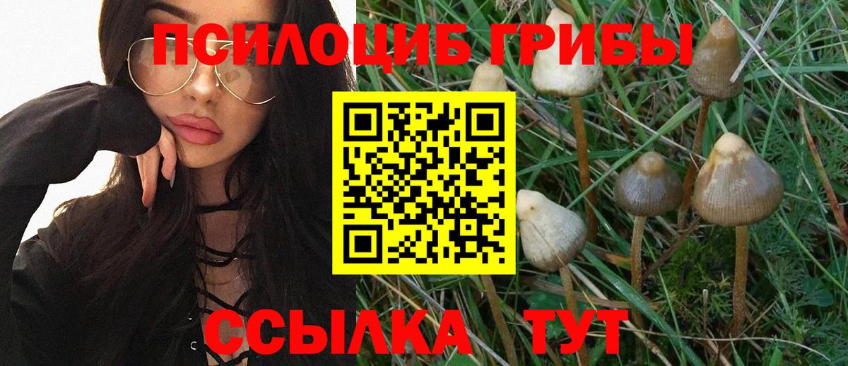 Псилоцибиновые грибы MAGIC MUSHROOMS Краснотурьинск